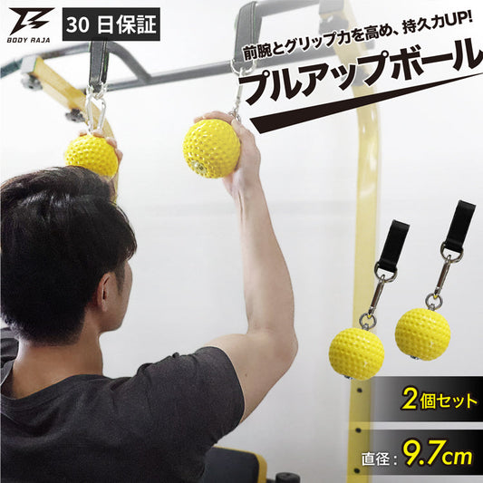 【RAJA】プルアップボール 直径9.7cm 2個セット